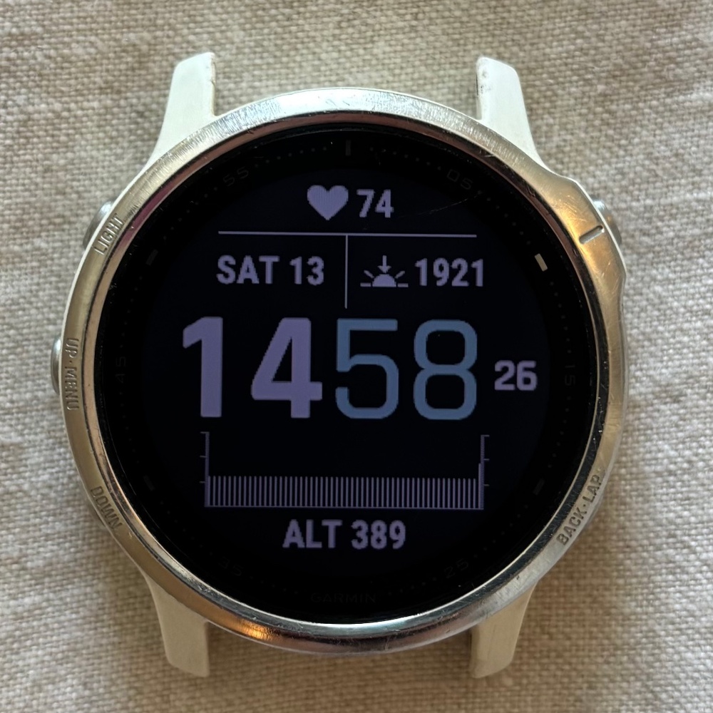 Garmin Fenix 6S